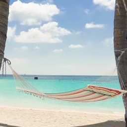 image-Double Outdoor Patio Cotton Hammock Swing Bed with Pillow