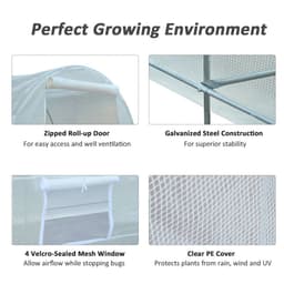 image-250L X 200W X 200H cm Walk-in Greenhouse-White PE