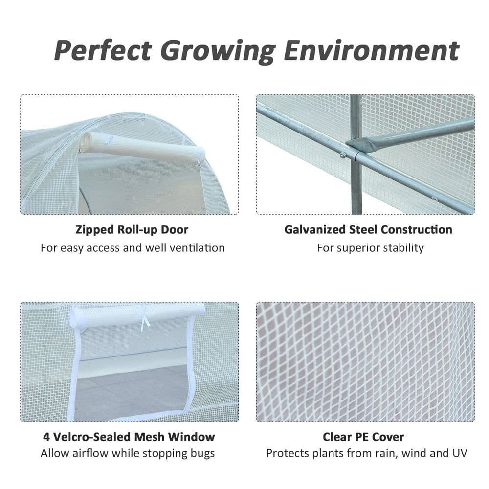 image-250L X 200W X 200H cm Walk-in Greenhouse-White PE