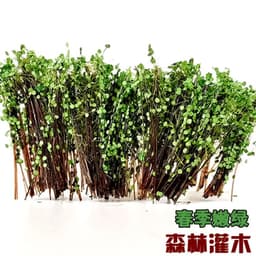 image-HDD-N77S Forest Bush Model - DIY Diorama Kits for Scenic Model Building