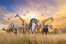 image-LMKJ 500 Pieces Jigsaw Puzzle - Eco-Friendly Fun for All Ages