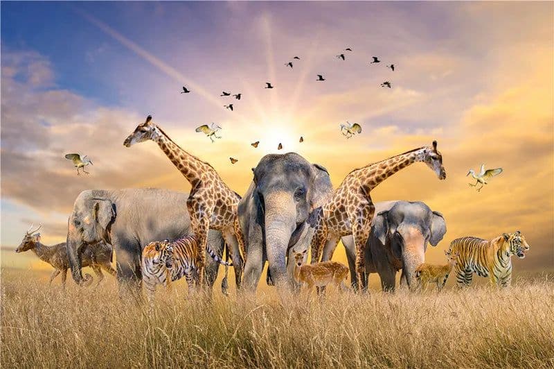 image-LMKJ 500 Pieces Jigsaw Puzzle - Eco-Friendly Fun for All Ages