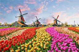 image-LMKJ 500 Pieces Jigsaw Puzzle - Eco-Friendly Fun for All Ages