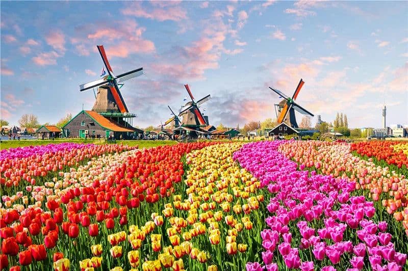 image-LMKJ 500 Pieces Jigsaw Puzzle - Eco-Friendly Fun for All Ages