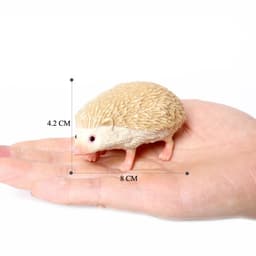 image-SamKaLa Hedgehog Spiny Anteater Figurines - Realistic Wildlife Model Toys