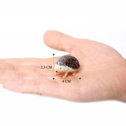 image-SamKaLa Hedgehog Spiny Anteater Figurines - Realistic Wildlife Model Toys