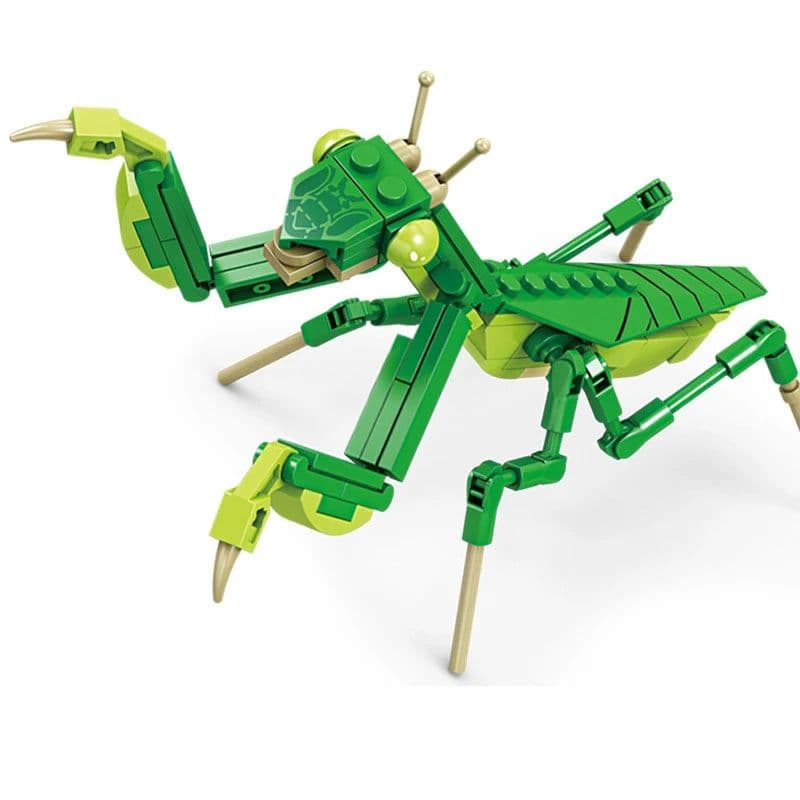 image-DBPALY Self-Locking Bricks - Eco-Friendly Building Blocks for Creative Fun