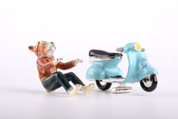 image-Dog on Vespa
