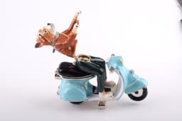 image-Dog on Vespa