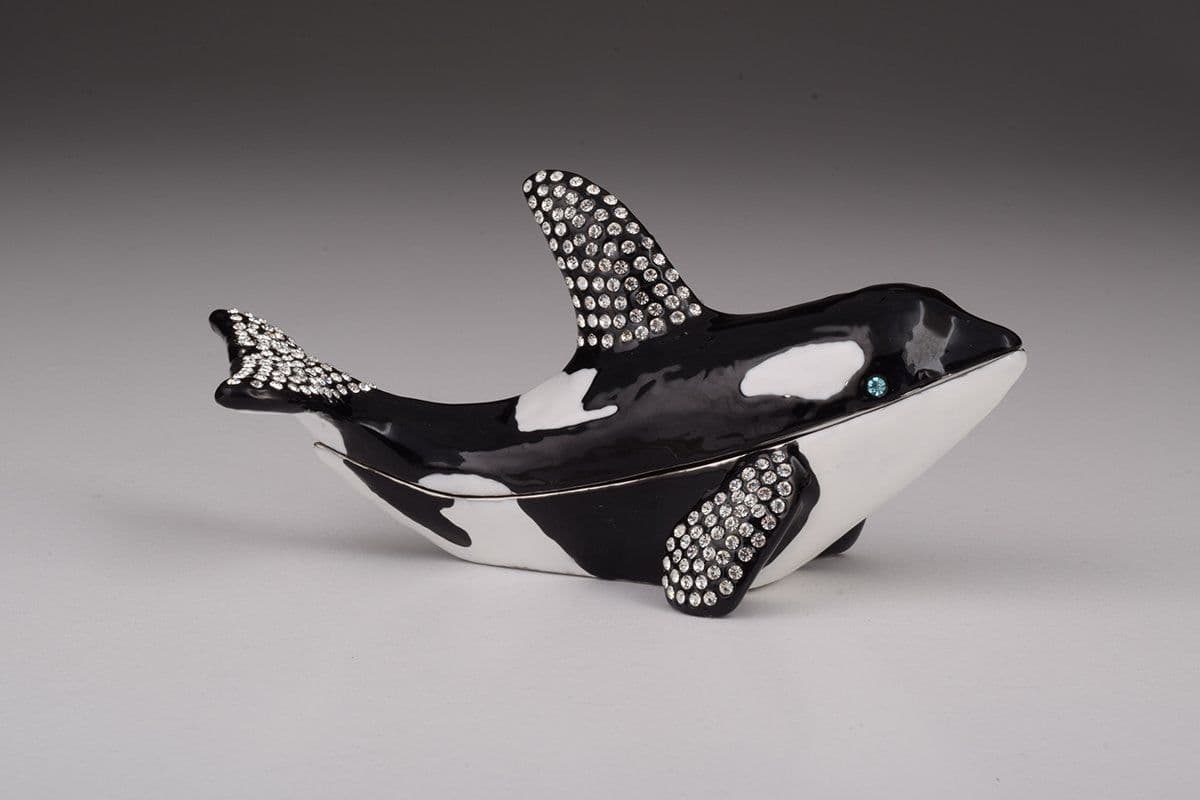 image-Orca Whale