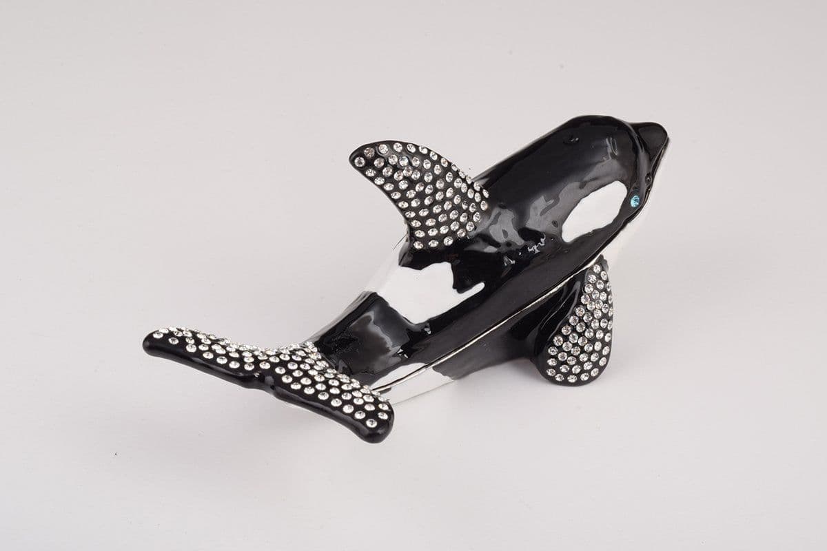 image-Orca Whale