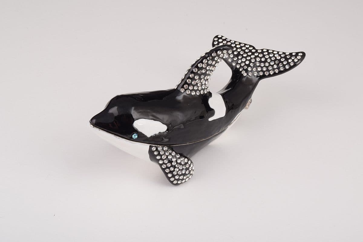 image-Orca Whale