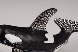 image-Orca Whale