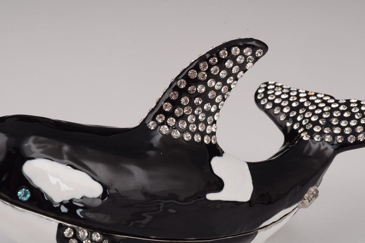 image-Orca Whale