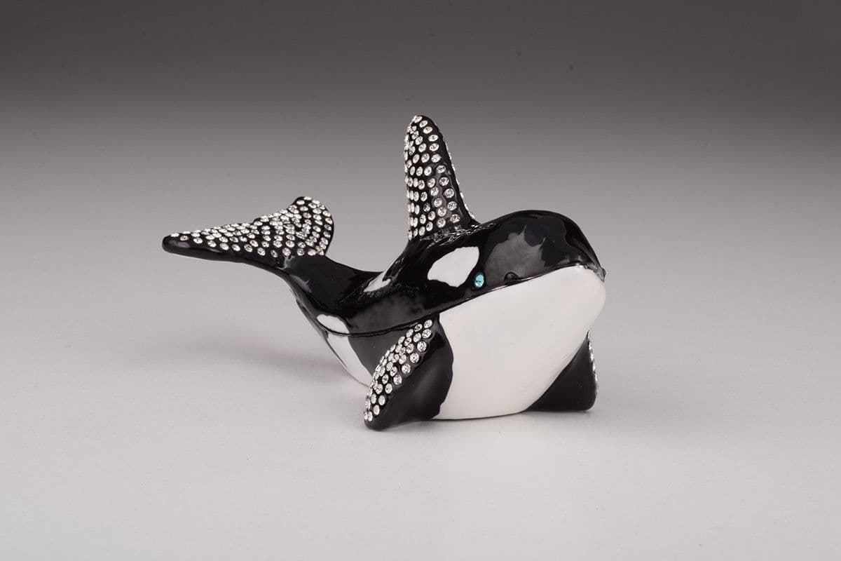 image-Orca Whale