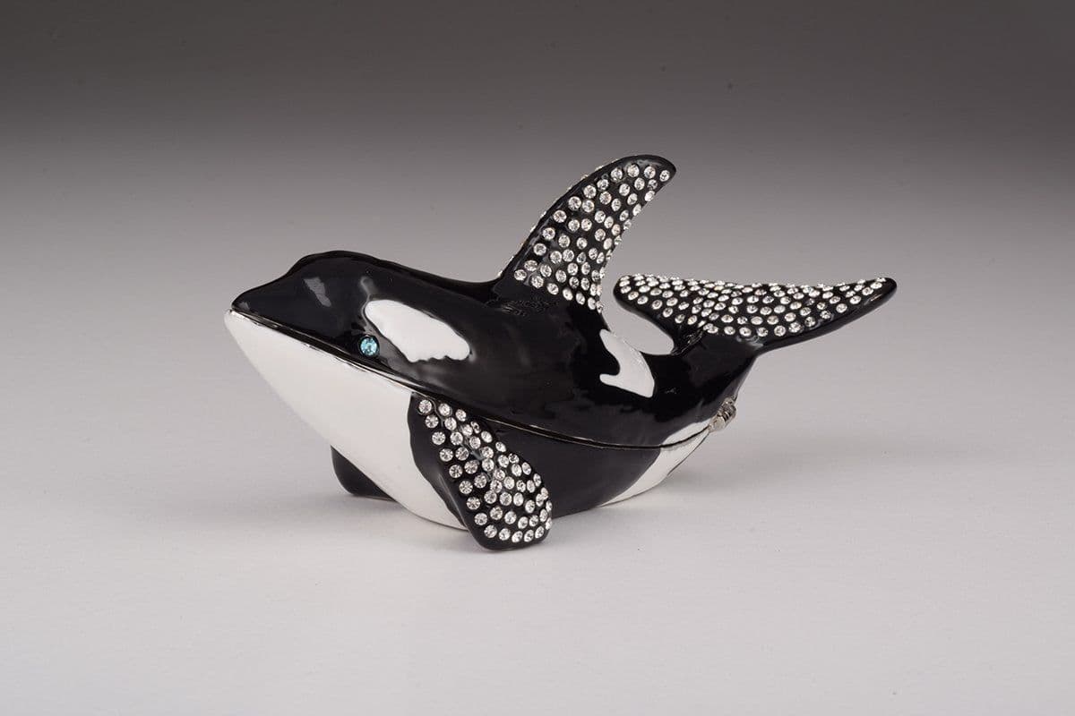image-Orca Whale