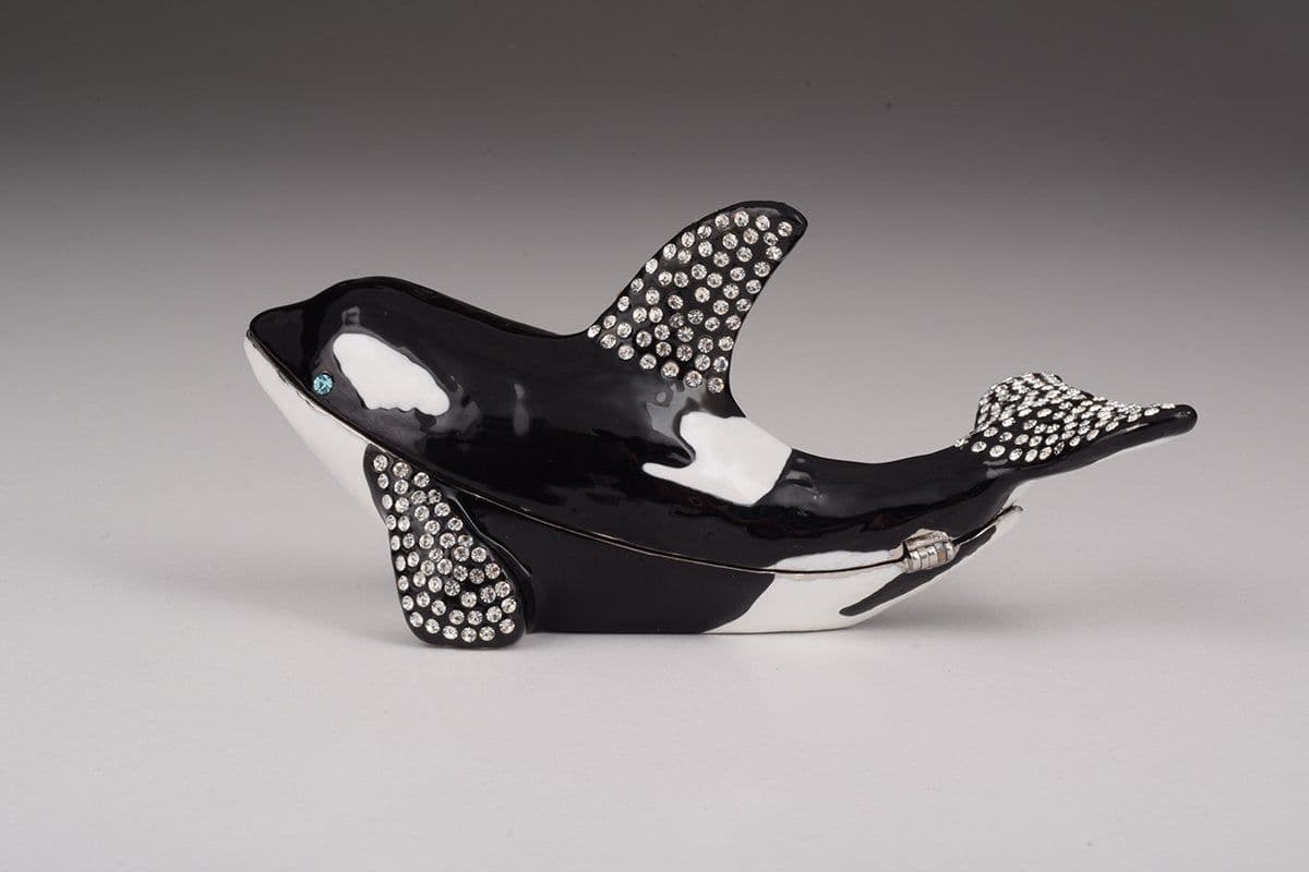 image-Orca Whale