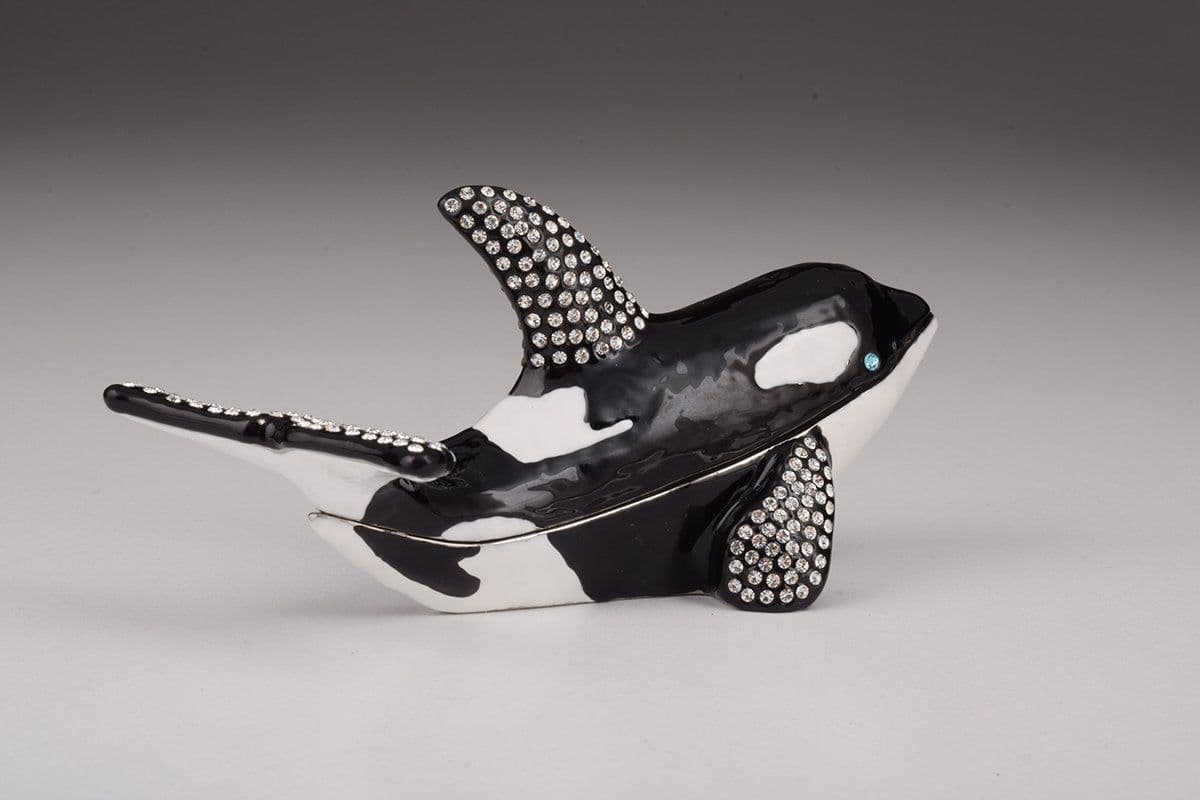 image-Orca Whale