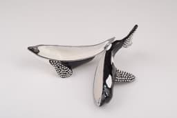 image-Orca Whale
