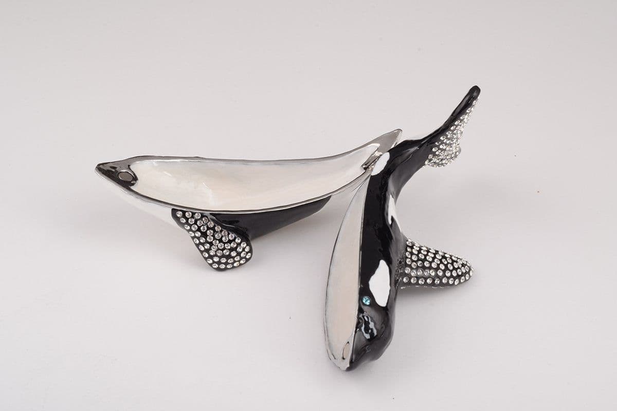 image-Orca Whale