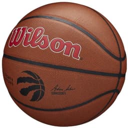 image-Wilson Team Alliance Toronto Raptors Ball WTB3100XBTOR