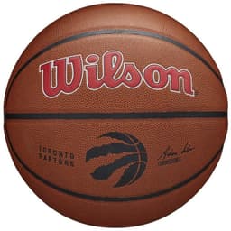 image-Wilson Team Alliance Toronto Raptors Ball WTB3100XBTOR