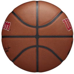image-Wilson Team Alliance Toronto Raptors Ball WTB3100XBTOR