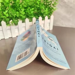 image-The Japanese Secret Philosophy For A Happy Healthy By Hector Garcia Book Rebuilding Happiness A Book About Hope Fiction libros