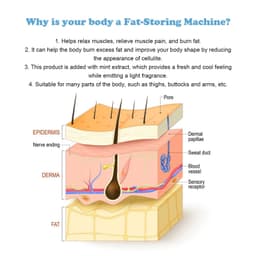 image-Oceaura 50ml Shaping Body Gel Roller Ball Slimming Firming Thigh Waist Fat Burning Weight Lose Body Care Body Sculpting Gel