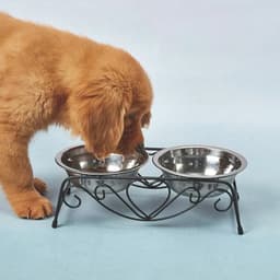 image-Set Of Stainless Steel Pet Bowls (one Base, Two Stainless Steel Bowls)